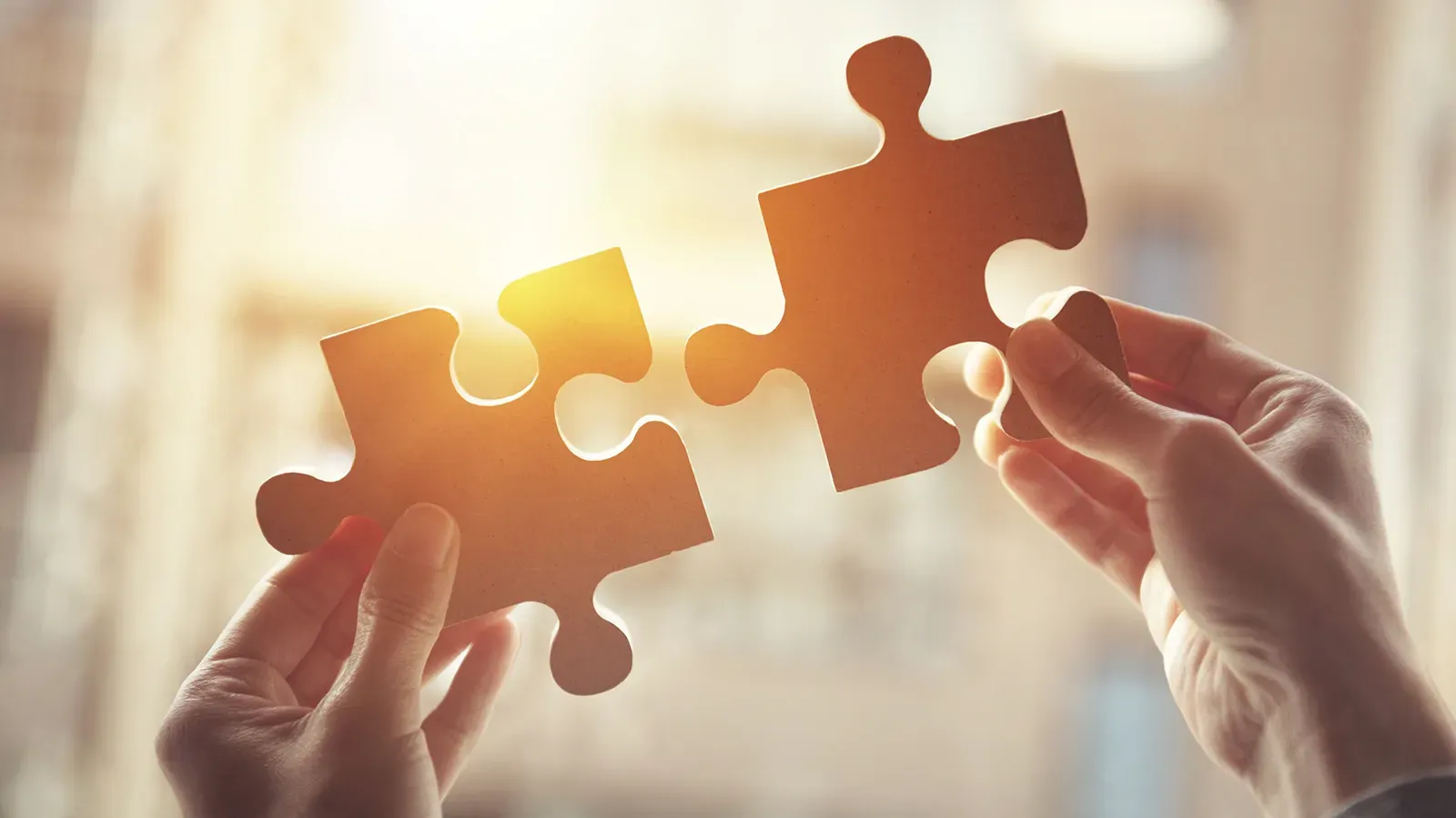 Compliance and Corporate Regulation Services